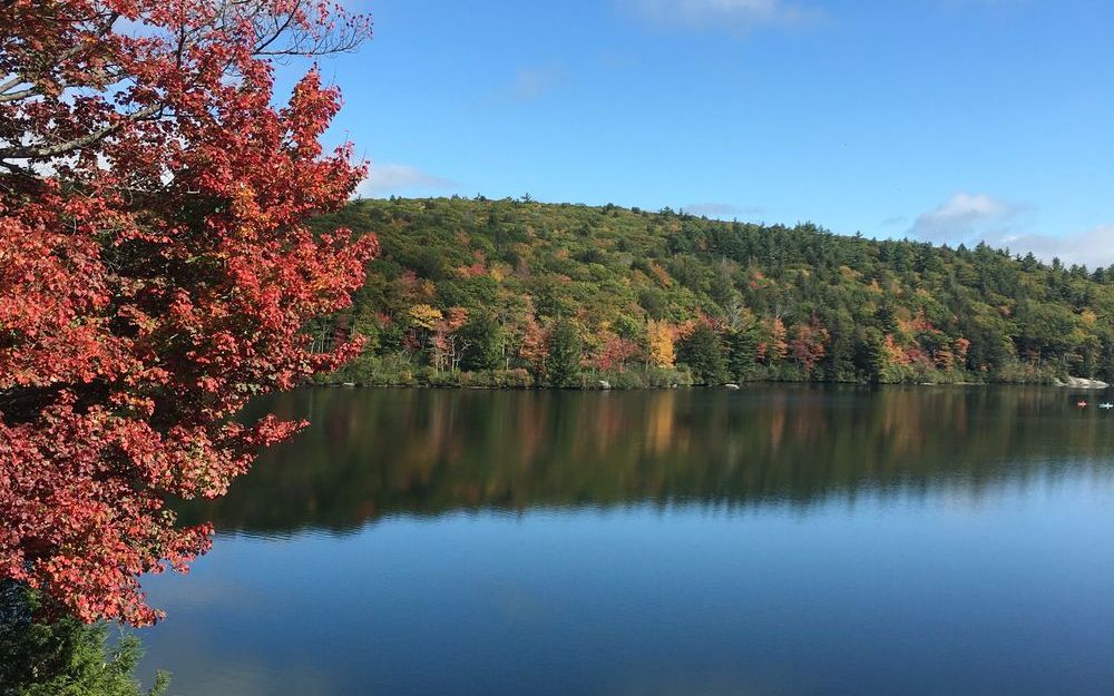 Le lac de Roybon