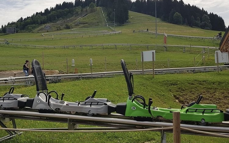 Speed luge Vercors