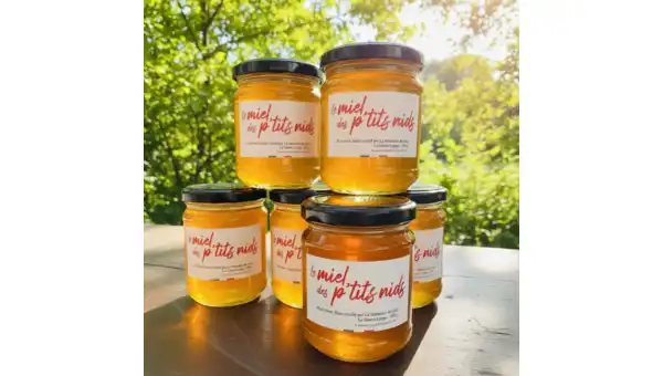 Découvrez le miel des p’tits nids de Linelle
